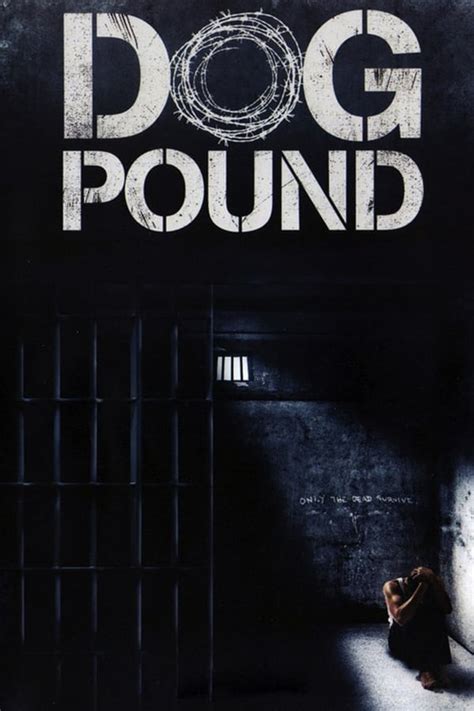 cast of dog pound|Meet the Cast of Dog Pound Movie 